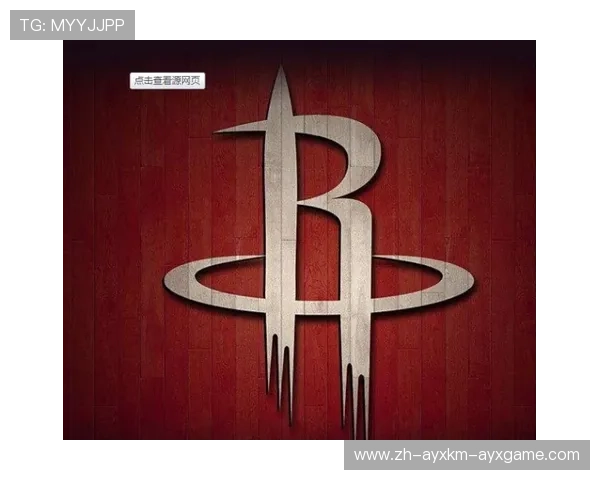 关于NBA火箭队的专业书籍推荐