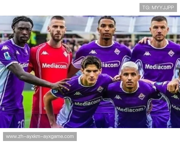 曾经辉煌但如今没落的意甲球队